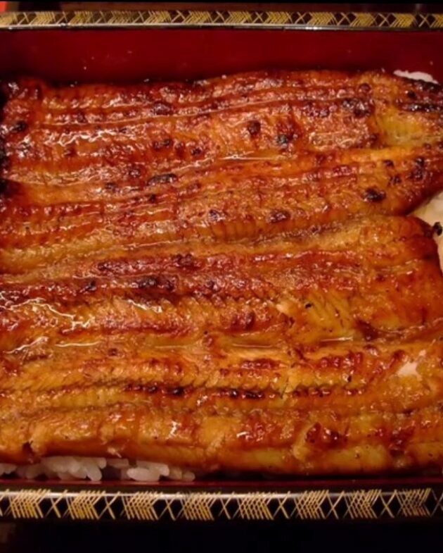 Unadon from Japan: Where Taste Meets Tradition