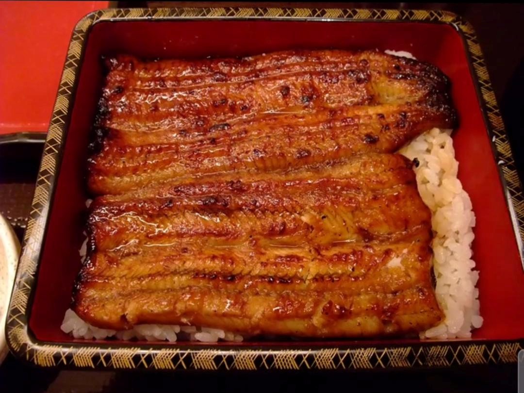 Unadon from Japan: Where Taste Meets Tradition